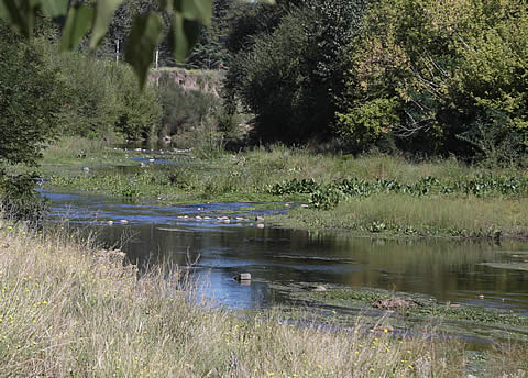 Arroyo en Sierra de la Ventana.